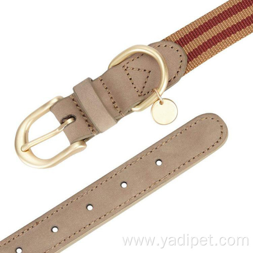 pet dog neck collar personalized waterproof collar